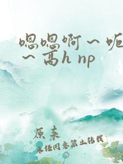 嗯嗯啊～呃哈啊～高h np