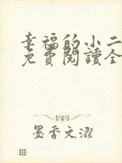 幸福的小二小说免费阅读全文