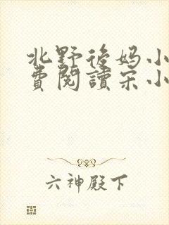 北野后妈小说免费阅读宋小妹全文