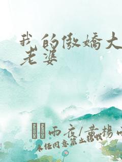 我的傲娇大小姐老婆