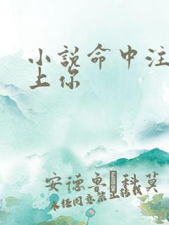 小说命中注定恋上你