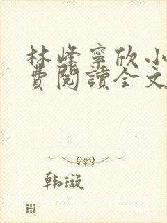 林峰宁欣小说免费阅读全文下载