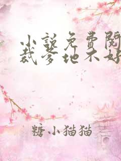 小说免费阅读总裁爹地不好惹