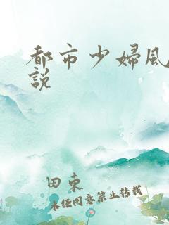 都市少妇风流小说