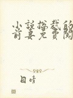 小说总裁的替身前妻免费阅读