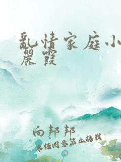 乱情家庭小说王丽霞
