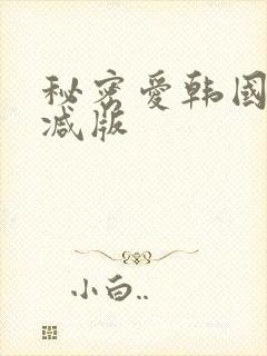 秘密爱韩国无删减版