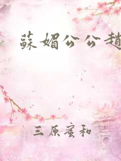苏媚公公赵大宝
