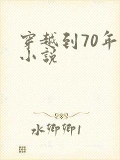 穿越到70年代小说