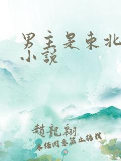 男主是东北人的小说