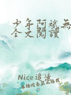 少年阿斌无删减全文阅读