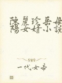 陈丽珍岳母,宋阳女婿小说