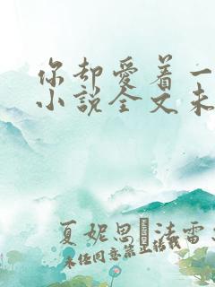 你却爱着一个他小说全文未删减版