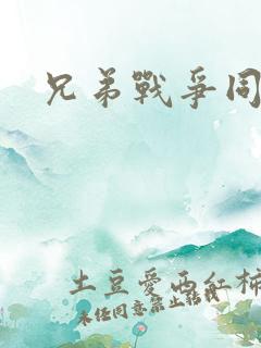 兄弟战争同人h