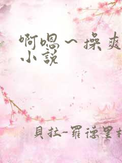 啊嗯～操爽了的小说