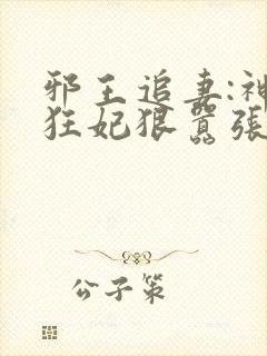 邪王追妻:神医狂妃狠嚣张阅读