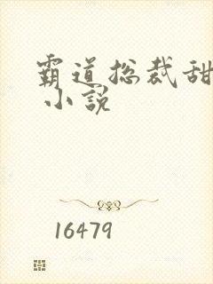 霸道总裁甜宠妻 小说