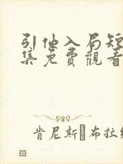 引他入局短剧全集免费观看