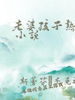老婆孩子热炕头 小说