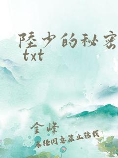 陆少的秘密恋人 txt