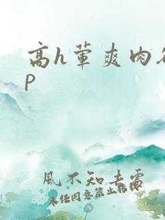 高h荤爽肉欲np