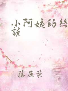 小阿姨的丝袜小说