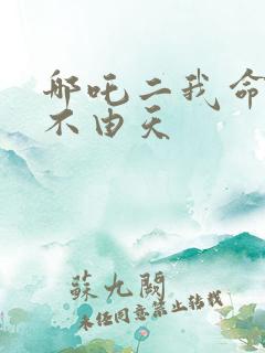 哪吒二我命由我不由天