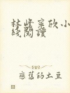 林峰宁欣小说在线阅读