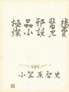 极品邪医杨凡李灿小说免费阅读
