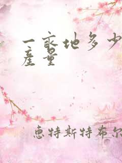 一亩地多少玉米产量