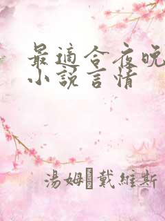 最适合夜晚看的小说言情