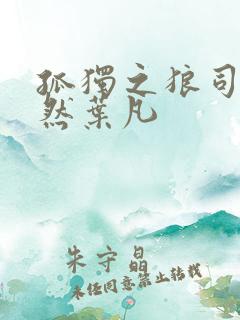 孤独之狼司空嫣然叶凡
