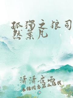孤独之狼司空嫣然叶凡
