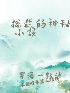 总裁的神秘甜妻 小说