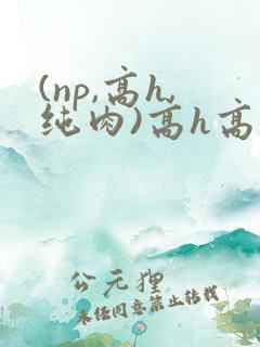 (np,高h,纯肉)高h高