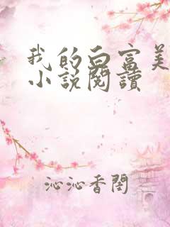 我的白富美老婆小说阅读