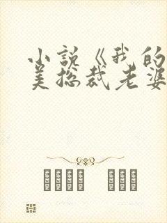 小说《我的白富美总裁老婆》