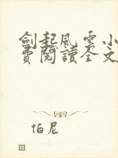 剑起风云小说免费阅读全文
