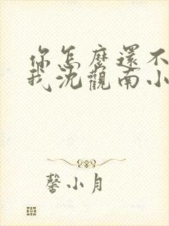 你怎么还不来哄我沈观南小说免费阅读