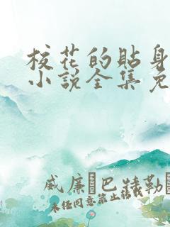 校花的贴身高手小说全集免费阅读