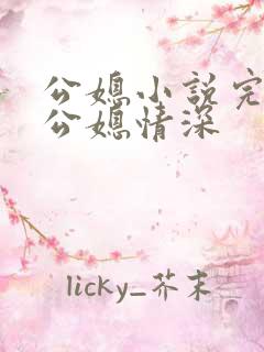 公媳小说完结版公媳情深