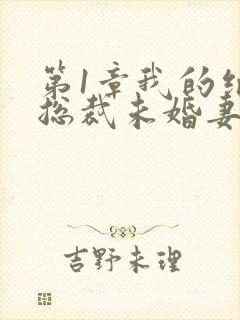 第1章我的绝色总裁未婚妻