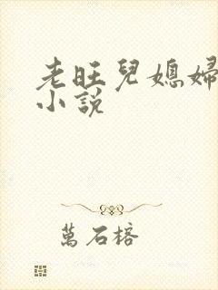 老旺儿媳妇秦雨小说