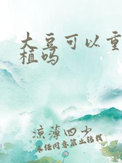 大豆可以重茬种植吗