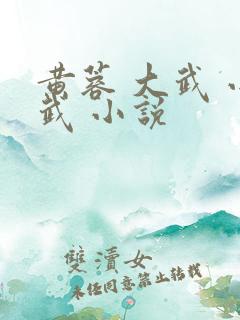 黄蓉 大武 小武 小说