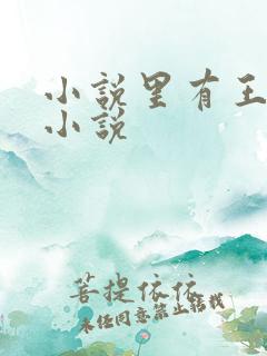 小说里有王军的小说