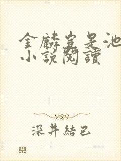 金麟岂是池中物小说阅读