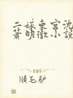 二嫁东宫沈雨燃萧明彻小说免费阅读全文