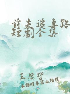 前夫追妻路漫漫短剧全集
