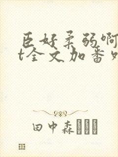 臣好柔弱啊txt全文加番外